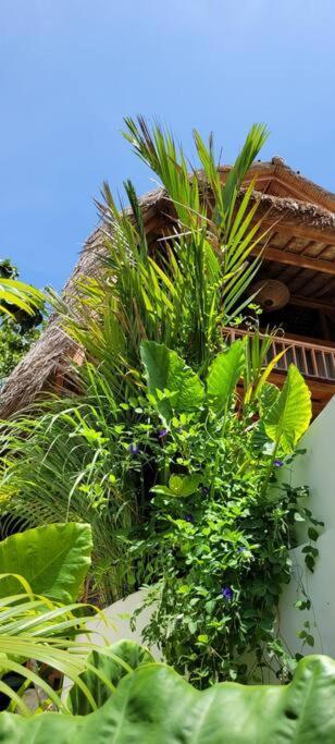 Nest Uluwatu 1 - Eco Boutique Villa Eksteriør billede